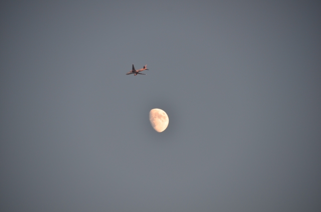 soku_21061.jpg :: 風景 自然 天体 月 乗り物 交通 航空機 飛行機 旅客機 