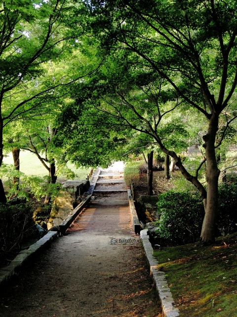 soku_21503.jpg :: PowerShotS95 風景 自然 コンデジ埼玉 lock 公園 霞ヶ浦総合公園 