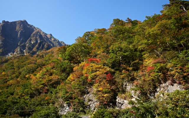soku_21721.jpg :: 風景 自然 紅葉 山の紅葉 