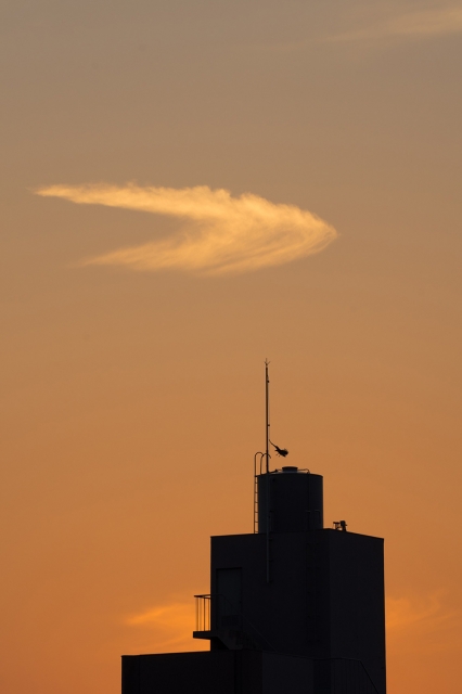 soku_21768.jpg :: 風景 自然 空 雲 