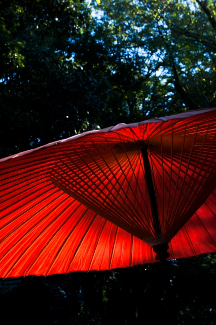 soku_21819.jpg :: 傘 赤 風景 街並み 和 和風 