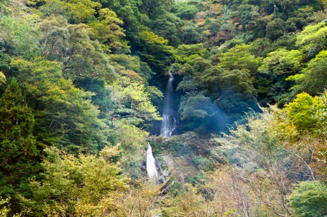 soku_22112.jpg :: 風景 自然 滝 