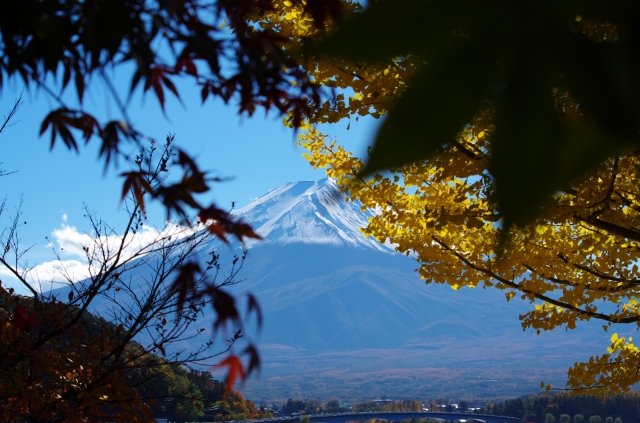soku_22364.jpg :: 風景 自然 山 富士山 紅葉 