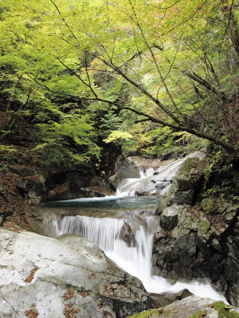 soku_22501.jpg :: PowerShotS95 風景 自然 水分 コンデジ埼玉 lock 川 河川 西沢渓谷 紅葉 黄色い紅葉 