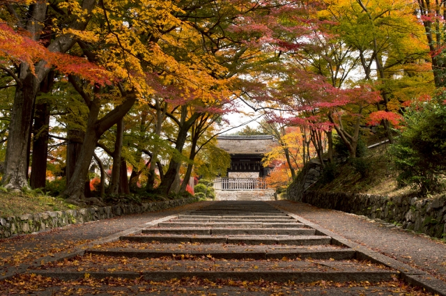 soku_22697.jpg :: 紅葉 京都 毘沙門堂 