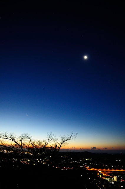 soku_23316.jpg :: 夜景 月 ブルーアワー 
