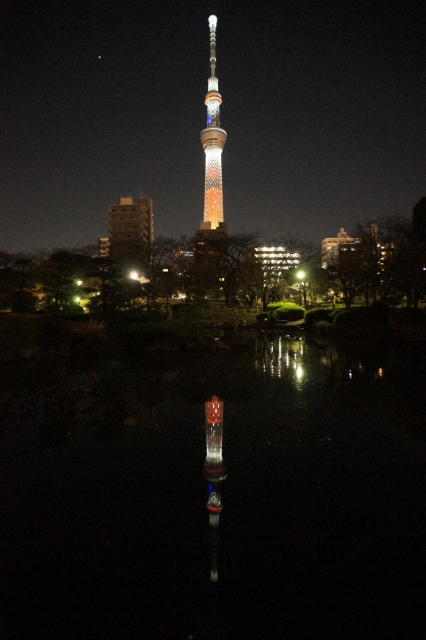 soku_23450.jpg :: 夜景 塔 タワー 東京スカイツリー 