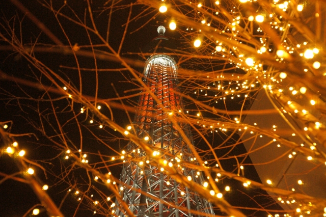 soku_23451.jpg :: 夜景 色 光 イルミネーション 東京スカイツリー 