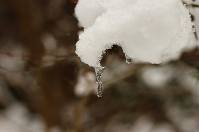 soku_23640.jpg :: 風景 自然 雪 