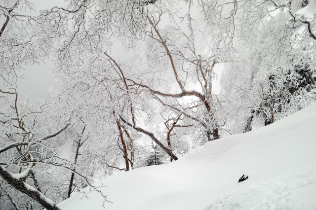 soku_23682.jpg :: 風景 自然 雪景色 雪山 