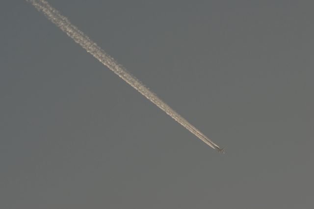 soku_24819.jpg :: 風景 自然 空 飛行機雲 