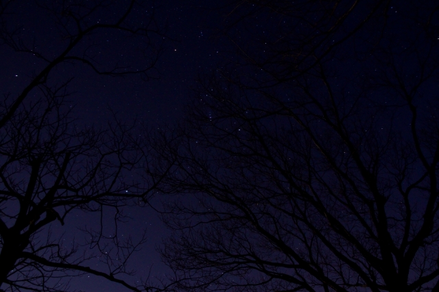 soku_24848.jpg :: 風景 自然 天体 星座 オリオン座 