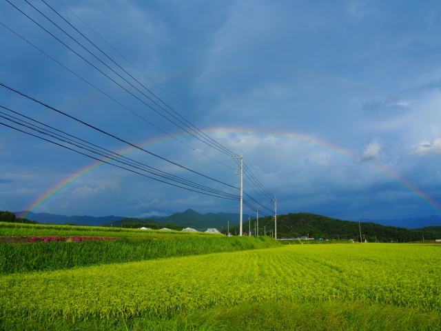 soku_25446.jpg :: 風景 自然 空 虹 