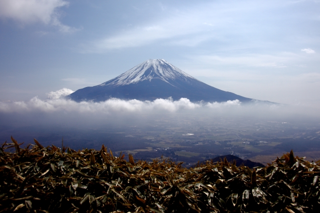 soku_25614.jpg :: 風景 自然 山 富士山 