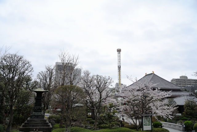 soku_25650.jpg :: 風景 街並み 浅草 