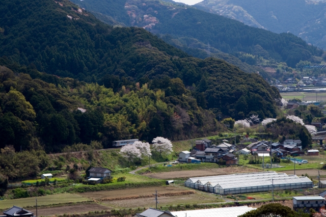 soku_25701.jpg :: 風景 自然 山 