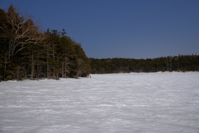 soku_25799.jpg :: 風景 自然 雪景色 