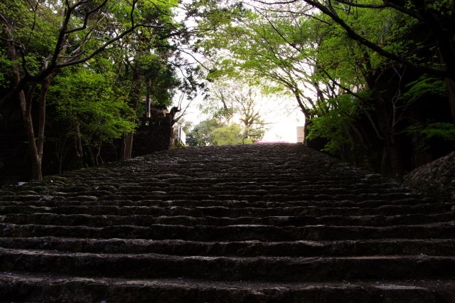 soku_25818.jpg :: 階段 石段 寺社仏閣 五台山 竹林寺 