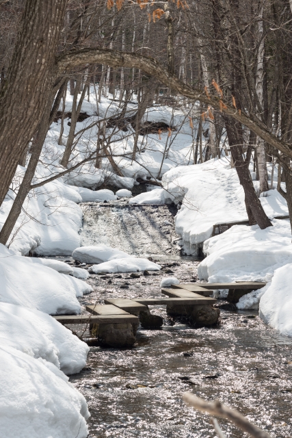 soku_25837.jpg :: 風景 自然 雪景色 小川 雪どけ 