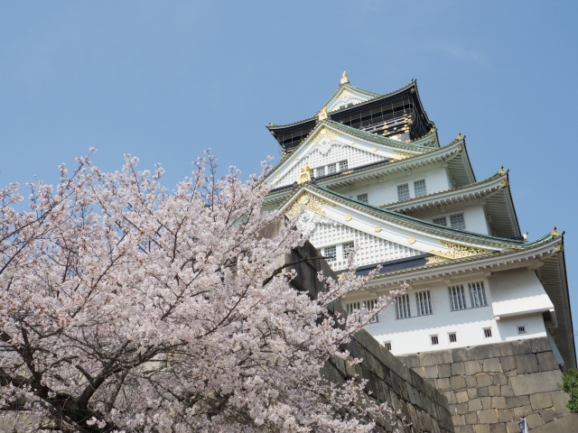 soku_25905.jpg :: 大坂城 ソメイヨシノ 桜 