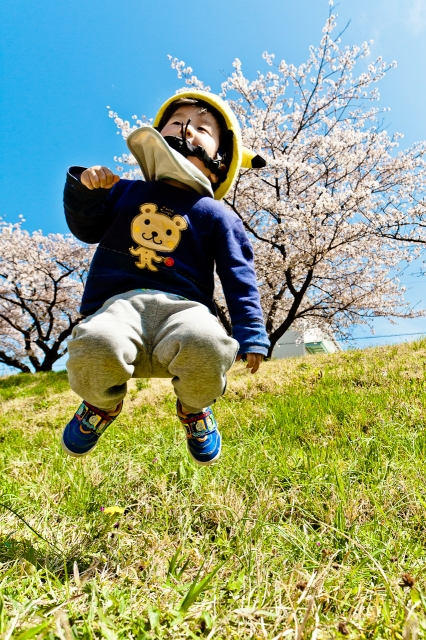 soku_25961.jpg :: 植物 花 桜 サクラ 菜の花 人物 子供 少年 男の子 