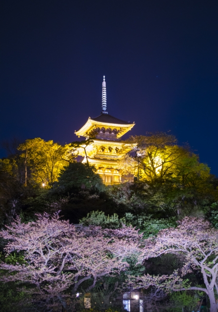 soku_26119.jpg :: 建築 建造物 五重塔 夜景 ライトアップ 