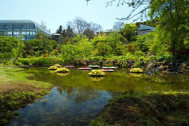 soku_26285.jpg :: 風景 自然 池 