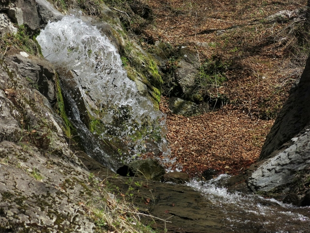 soku_26814.jpg :: PowerShotG15 風景 自然 水分 コンデジ埼玉 lock 