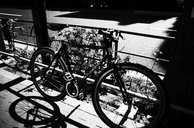 soku_27038.jpg :: 乗り物 交通 その他の乗り物 自転車 モノクロ 
