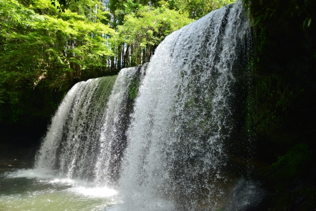 soku_28564.jpg :: 風景 自然 滝 