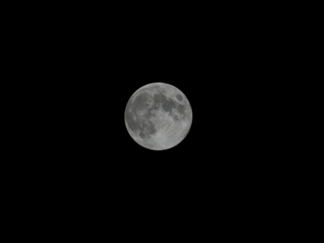 soku_28576.jpg :: 風景 自然 天体 月 中秋の名月 