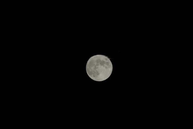 soku_28584.jpg :: 風景 自然 天体 月 中秋の名月 