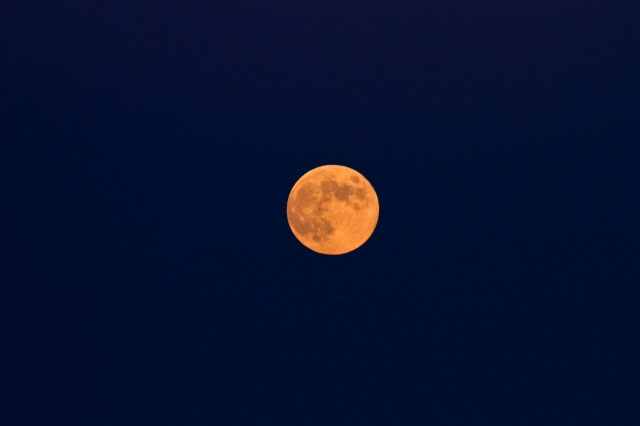 soku_28585.jpg :: 風景 自然 天体 月 中秋の名月 