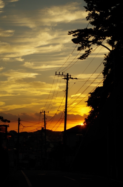 soku_28589.jpg :: 風景 自然 空 夕日 夕焼け 日没 