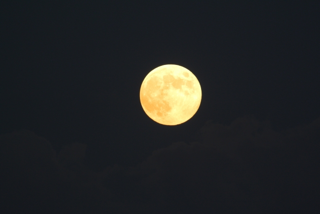 soku_28590.jpg :: 風景 自然 天体 月 中秋の名月 