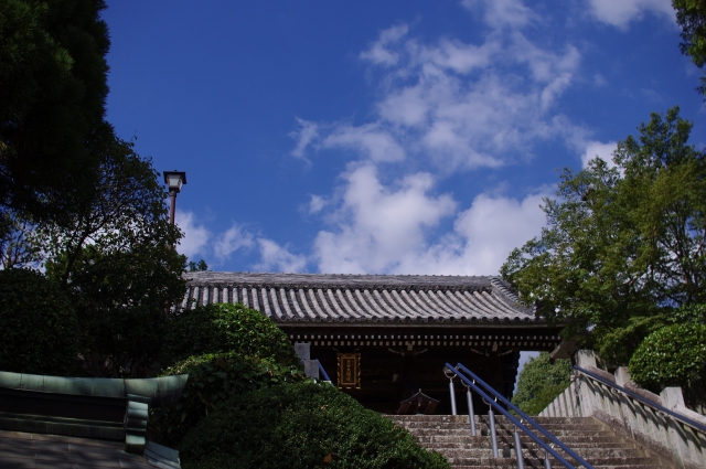 soku_28724.jpg :: 建築 建造物 神社仏閣 寺 