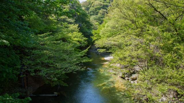 soku_28893.jpg :: 風景 自然 川 渓谷 