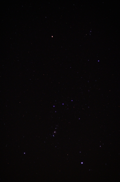 soku_28950.jpg :: 風景 自然 天体 星 オリオン座 