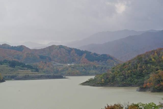 soku_29160.jpg :: 風景 自然 川 紅葉 山の紅葉 