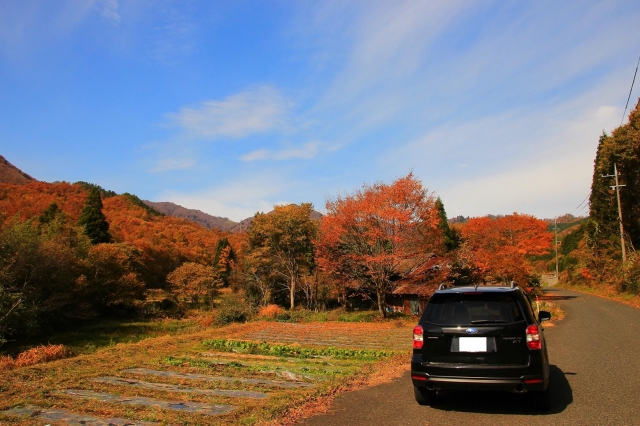 soku_29196.jpg :: 風景 自然 紅葉 山の紅葉 