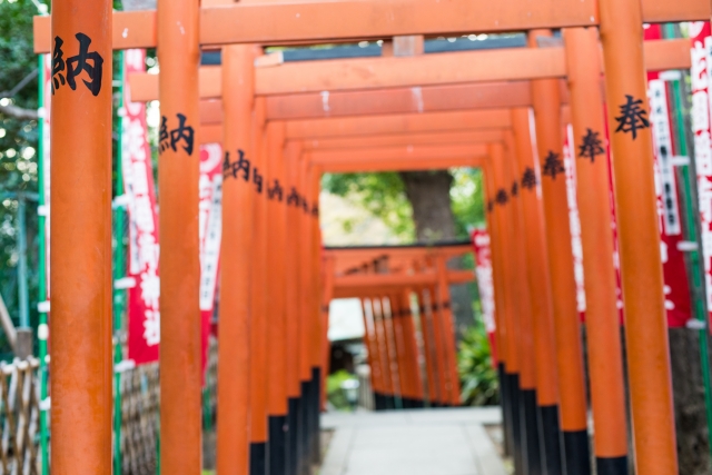 soku_29255.jpg :: 建築 建造物 神社 花園稲荷神社 
