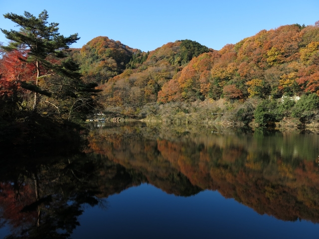 soku_29352.jpg :: PowerShotG15 風景 自然 水分 コンデジ埼玉 lock 湖 間瀬湖 紅葉 黄色い紅葉 