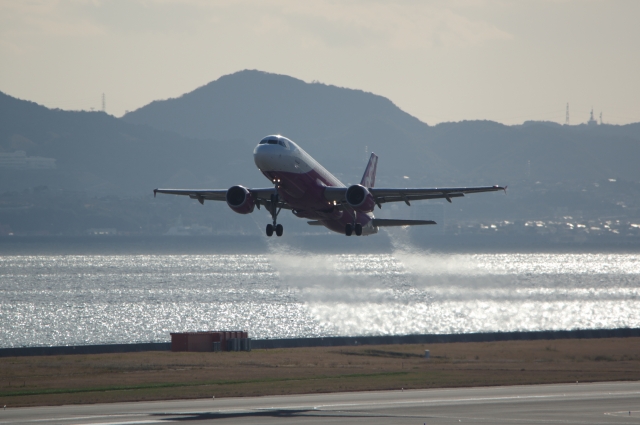 soku_29567.jpg :: 関空 ジェット機 PEACHI 旅客機 