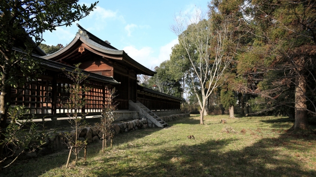 soku_29579.jpg :: 建築 建造物 神社 