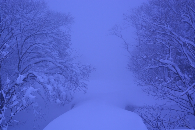 soku_29588.jpg :: 風景 自然 雪景色 雪山 吹雪 