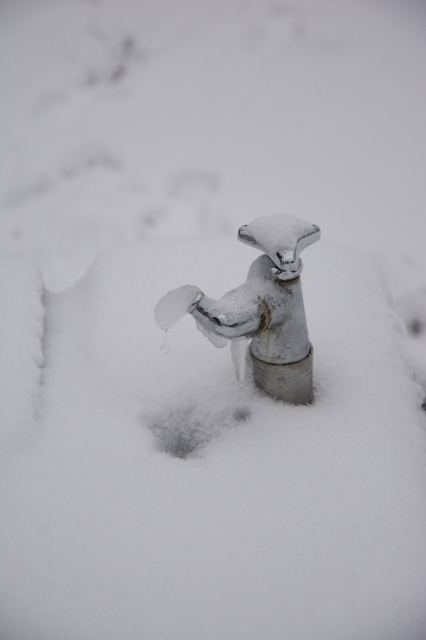 soku_29823.jpg :: 風景 自然 雪 