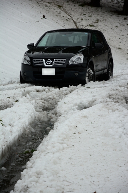 soku_29866.jpg :: 風景 自然 雪 