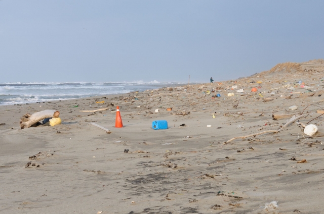 soku_29886.jpg :: 風景 自然 海 砂浜 ゴミ 犬散歩 