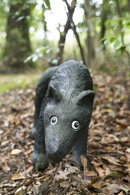 soku_30938.jpg :: 犬 アストロン 木彫り 風景 自然 森林 