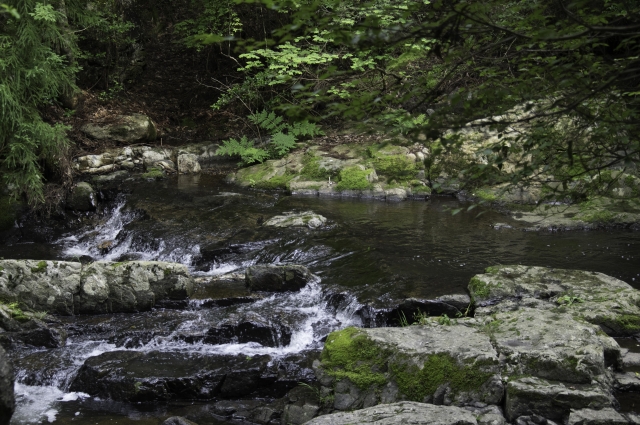 soku_31101.jpg :: 風景 自然 川 渓流 るり渓 